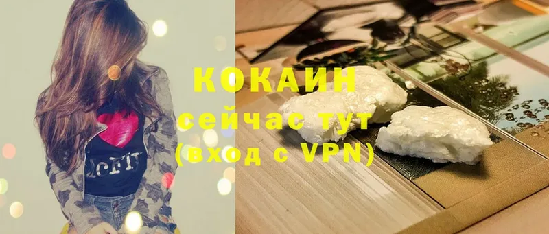 COCAIN FishScale  продажа наркотиков  Касимов 